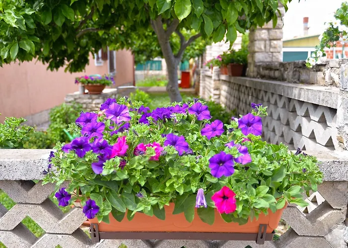 아파트 Orange 167