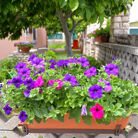 Apartment Orange 167