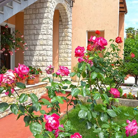 Apartment Orange 167 *