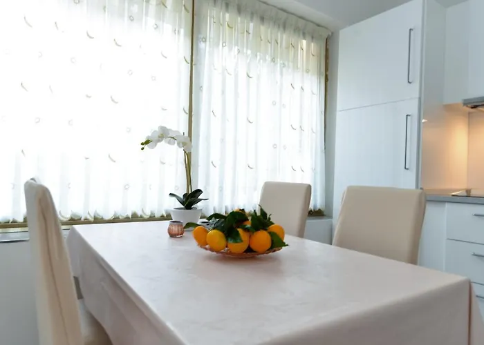 Orange 167 Novigrad Istria